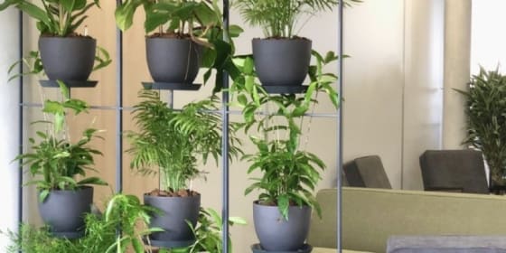 'Nos clients souhaitent mettre l'accent sur le bien-être au travail'
