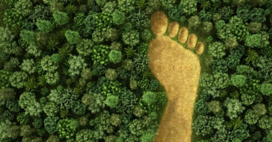 Comment communiquer sur ses engagements RSE ?