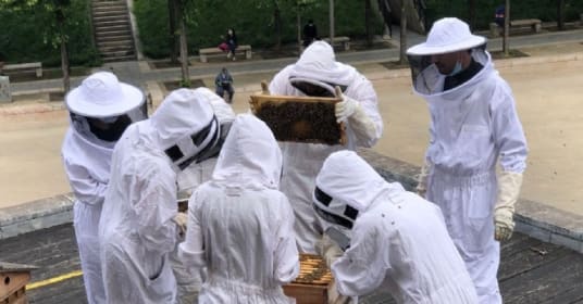 Du mécénat de compétences pour 'se rendre utiles'