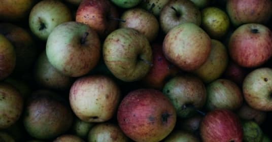 Croc Fork invente les premiers couverts comestibles et compostables à base de fruits