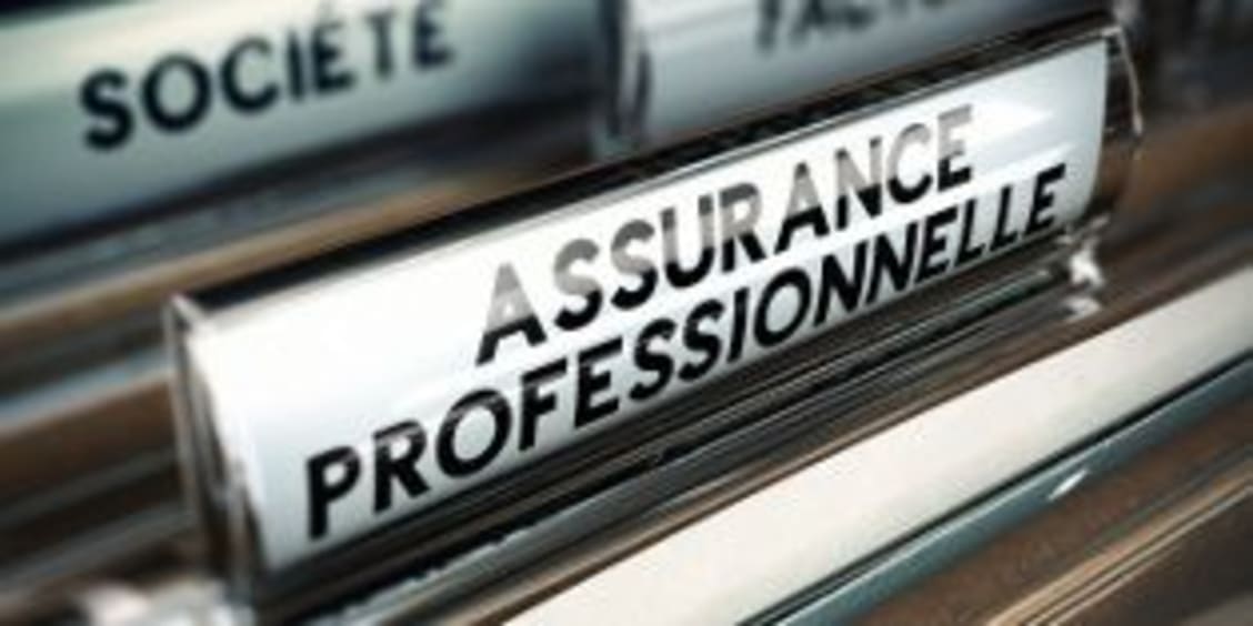 L'assurance professionnelle est obligatoire pour certaines activités.