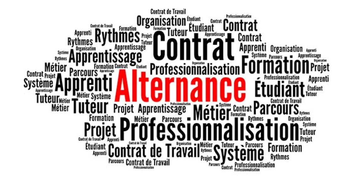 Comment est organisé le dispositif Pro-A ?