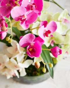 Artificial Flowers: Up to 50% off on plants and flowers for home