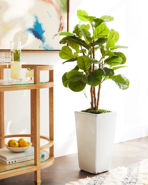 Little Figgy 52" Faux Tree