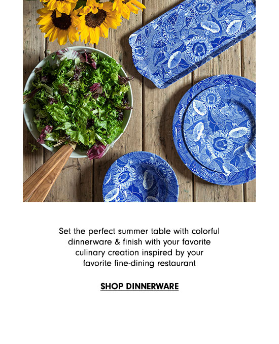 Shop Dinnerware