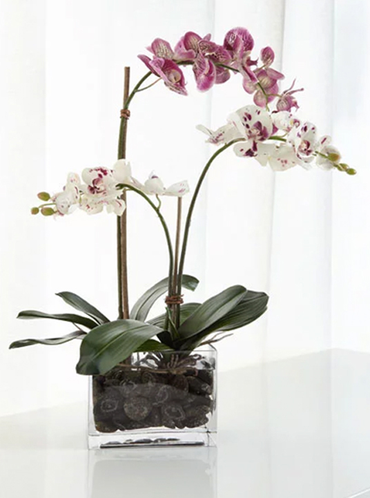 What to Want - Create a Registry