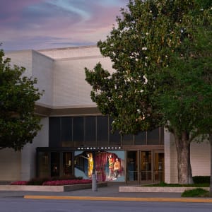 inside neiman marcus dallas