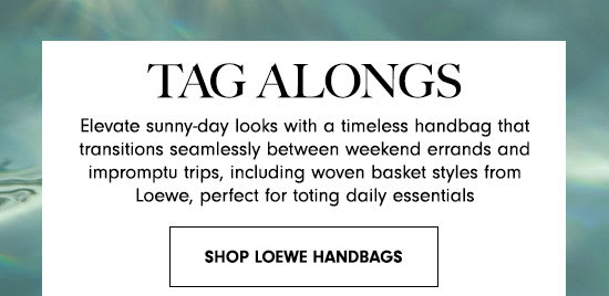 Shop Loewe Handbags