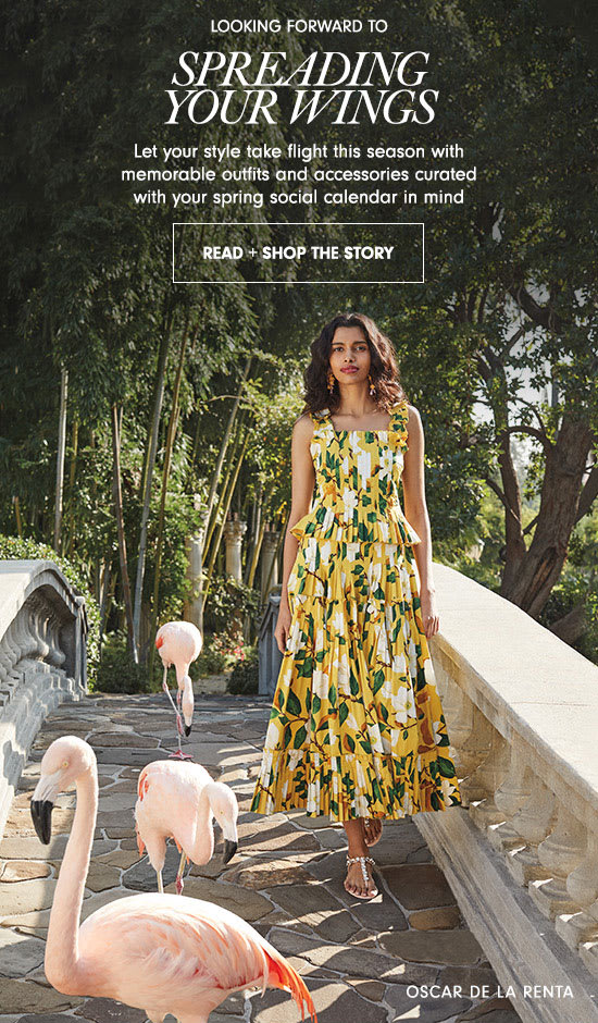 Read + Shop the Story: Spreading Your Wings