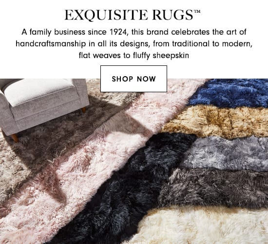 Shop Exquisite Rugs
