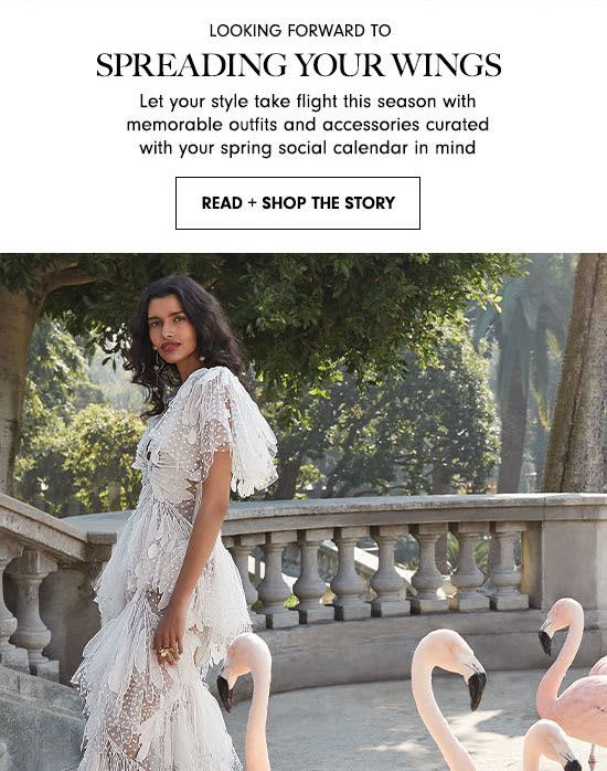 Read + Shop The Story: Spreading Your Wings