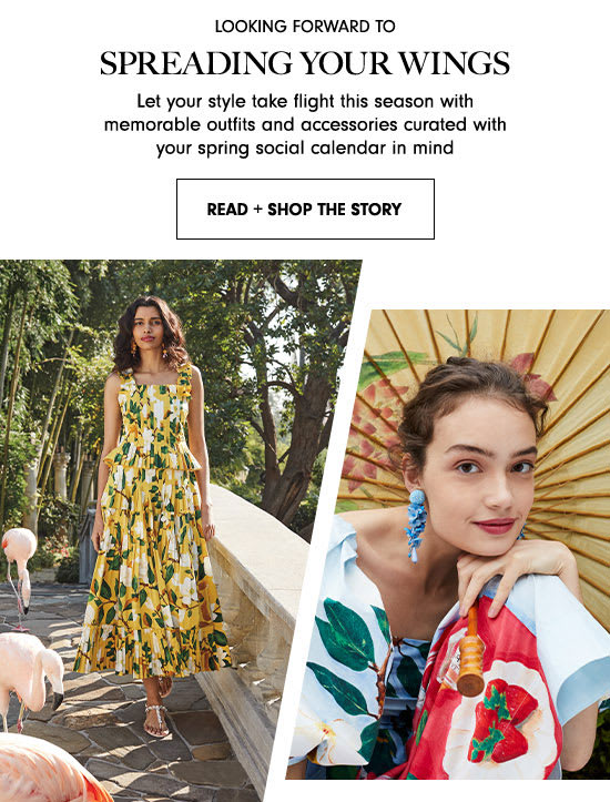 Read + Shop The Story: Spreading Your Wings