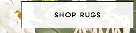 Shop Rugs