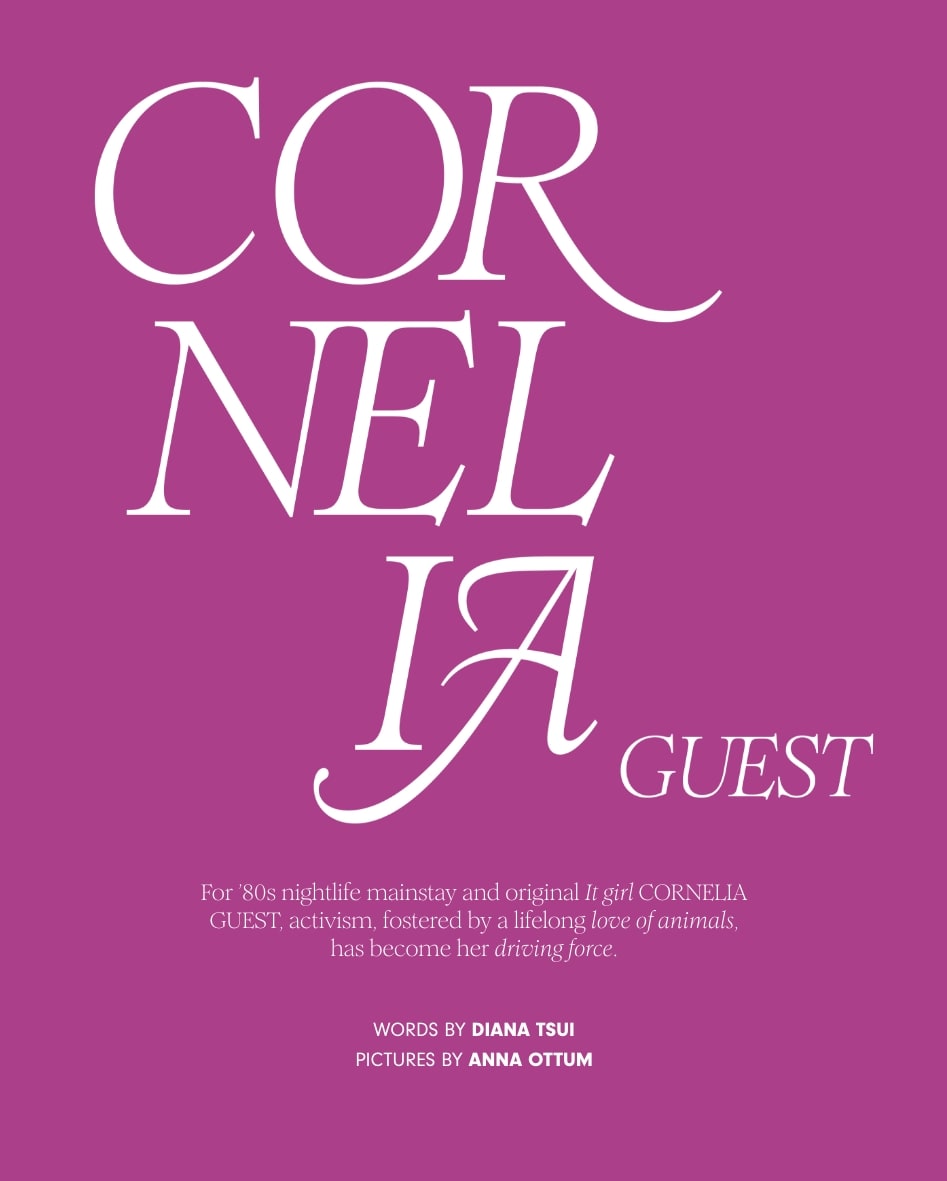 Landing Page: Extraordinary Pursuits Dreamers - Cornelia Guest