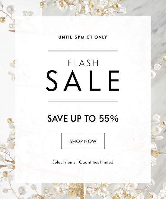 Shop the Flash Sale