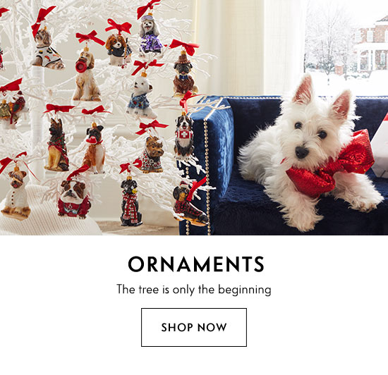 Shop Ornaments