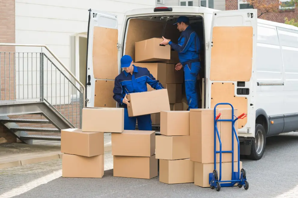 logistica