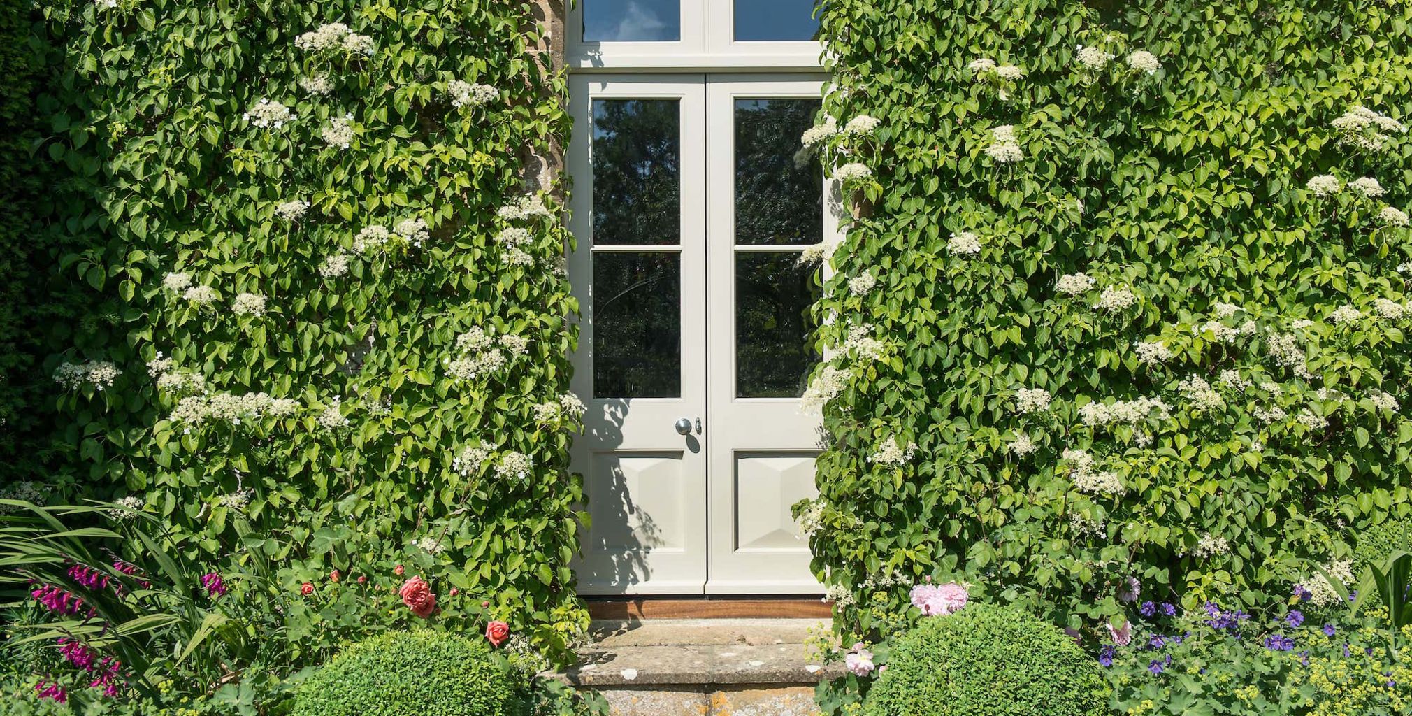 bespoke timber door surrounded by green plants