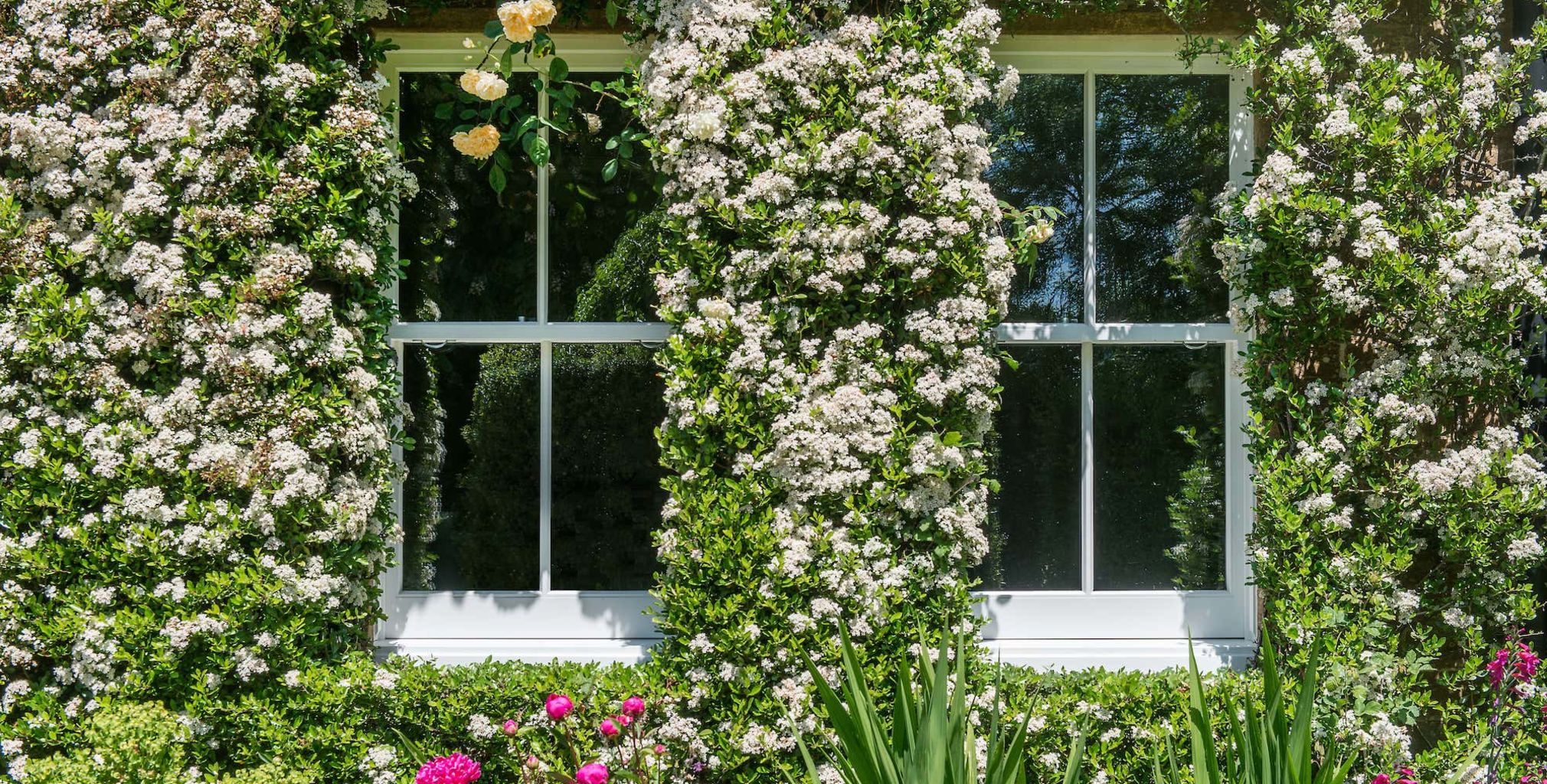 timber sliding sash windows