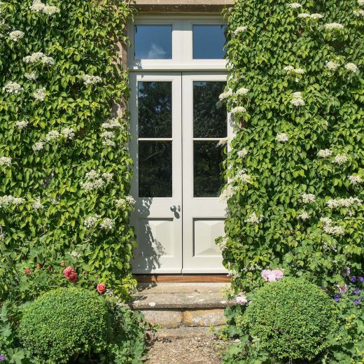 bespoke timber door surrounded by green plants
