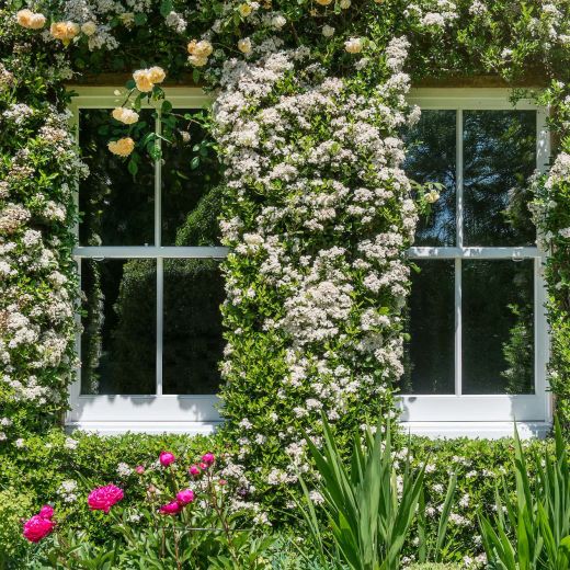 timber sliding sash windows