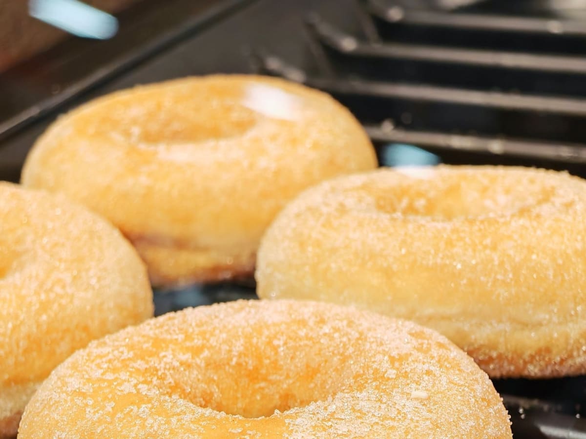 Doughnut