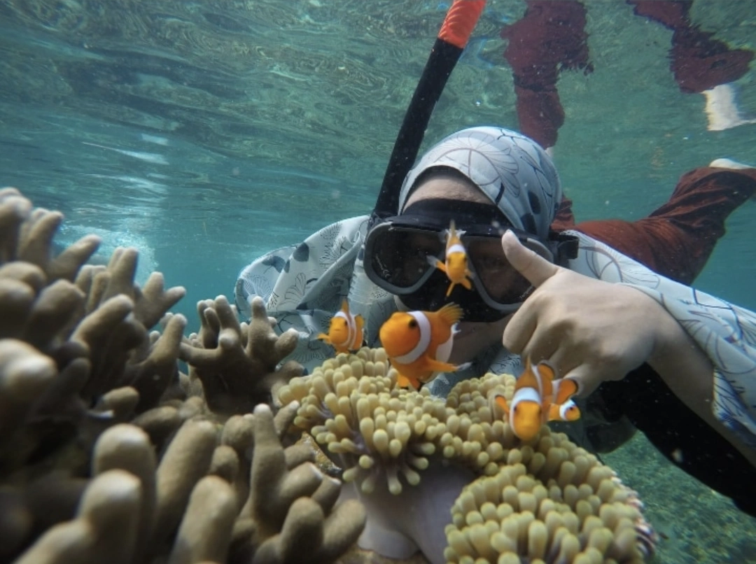 Snorkeling Package