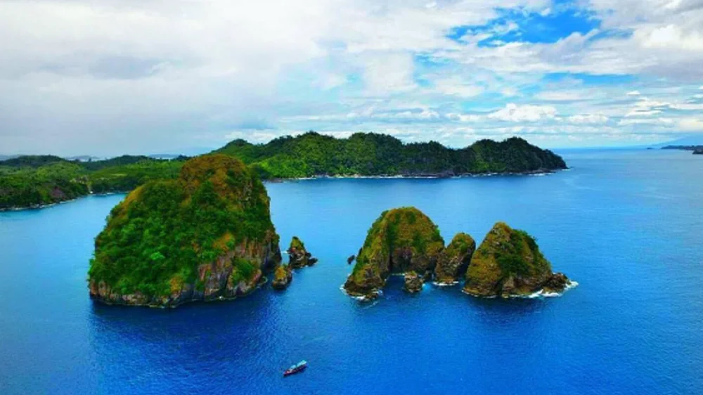 Private Charter Boat (1-4 pax)