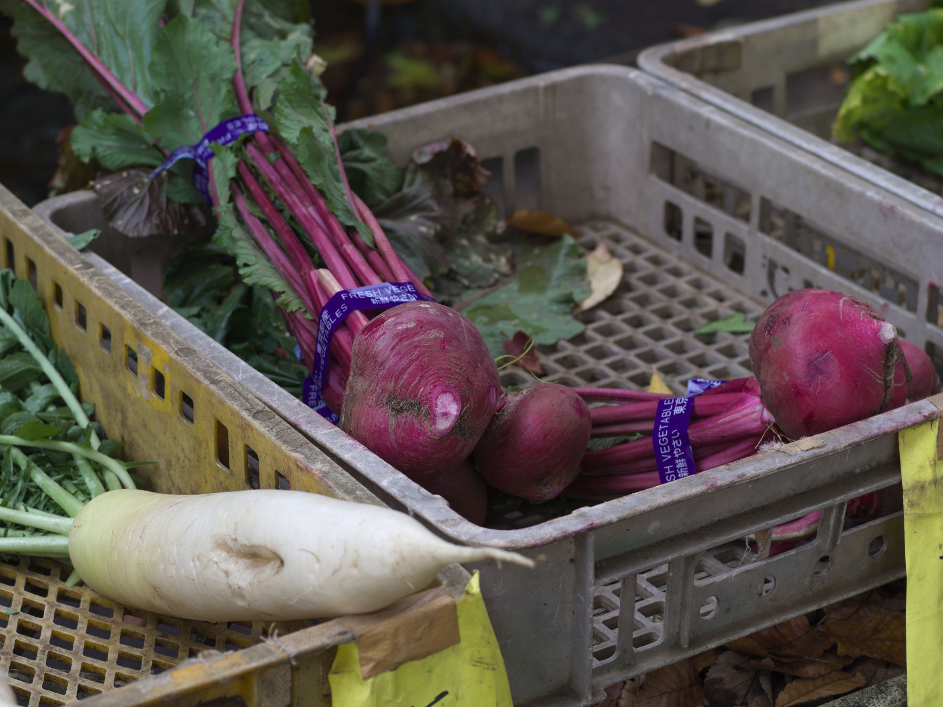 路地販売 蕪 大根