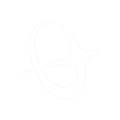 Bleap SIA logo