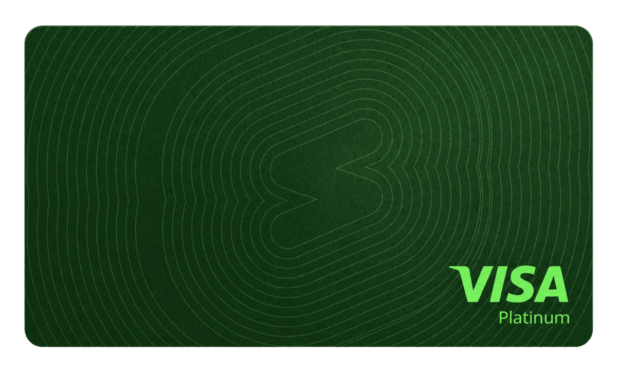 Solid Card — Debit card — on the Visa network