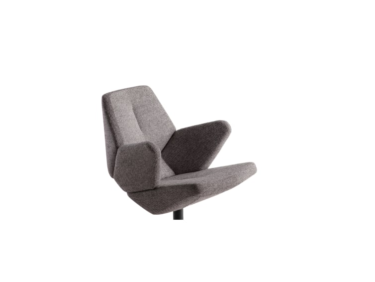 Trifidae - Trifidae easy chair