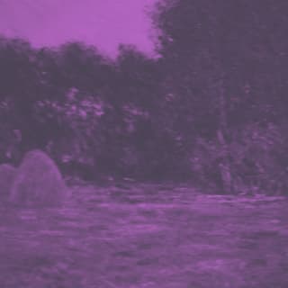 A photo of a Monet painting