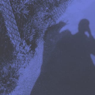 Shadow of couple on the ground