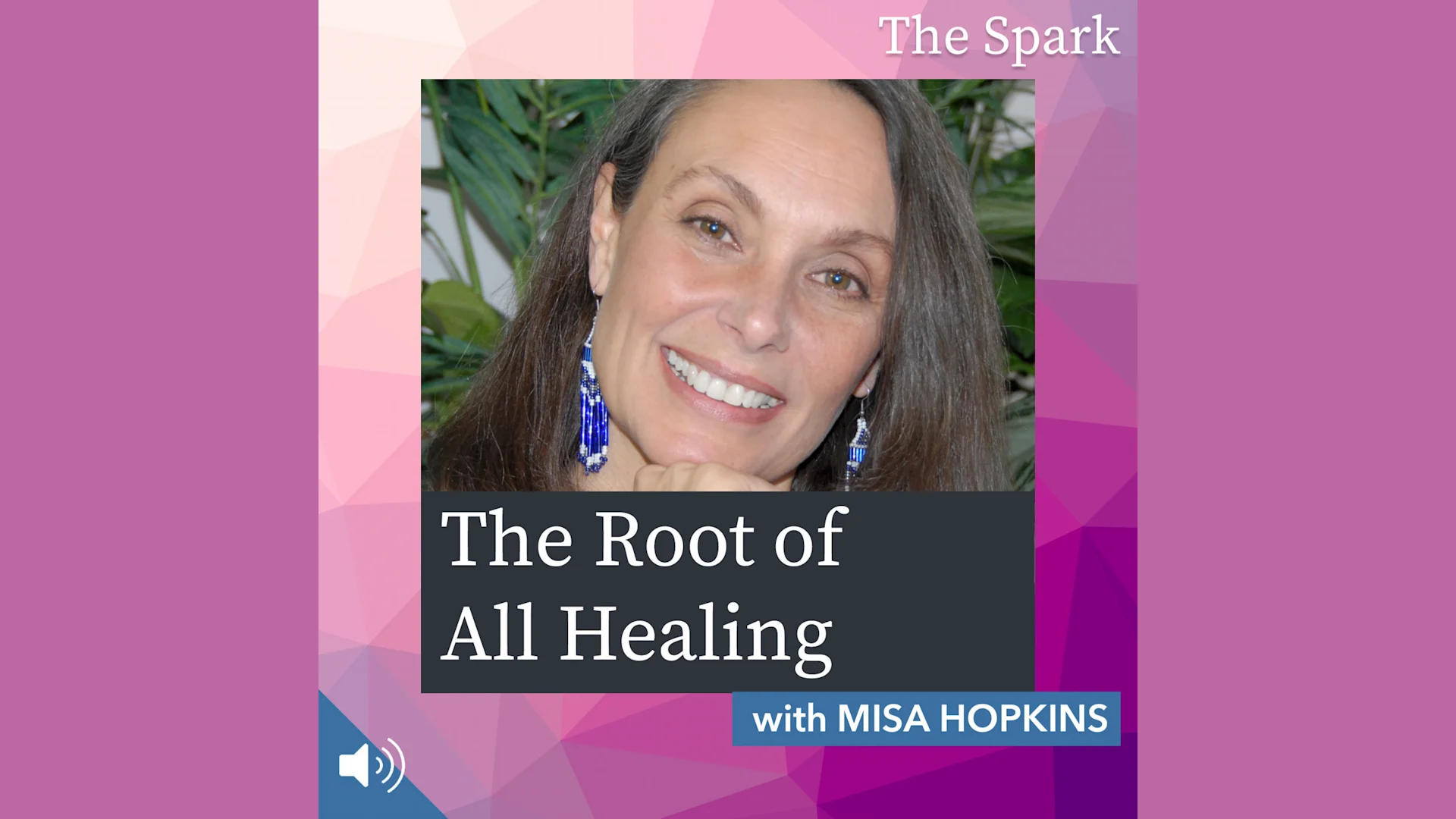 The Root of All Healing with Misa Hopkins