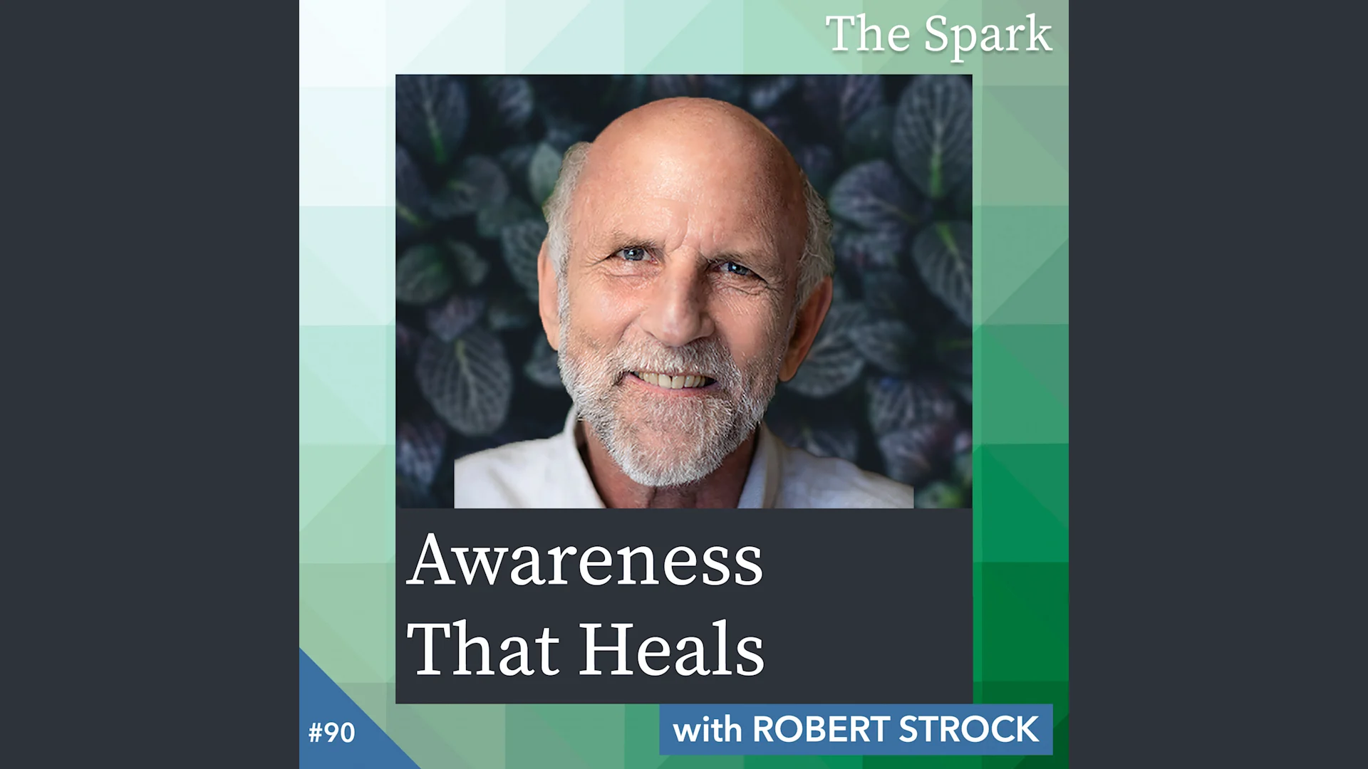 Awareness That Heals with Robert Strock