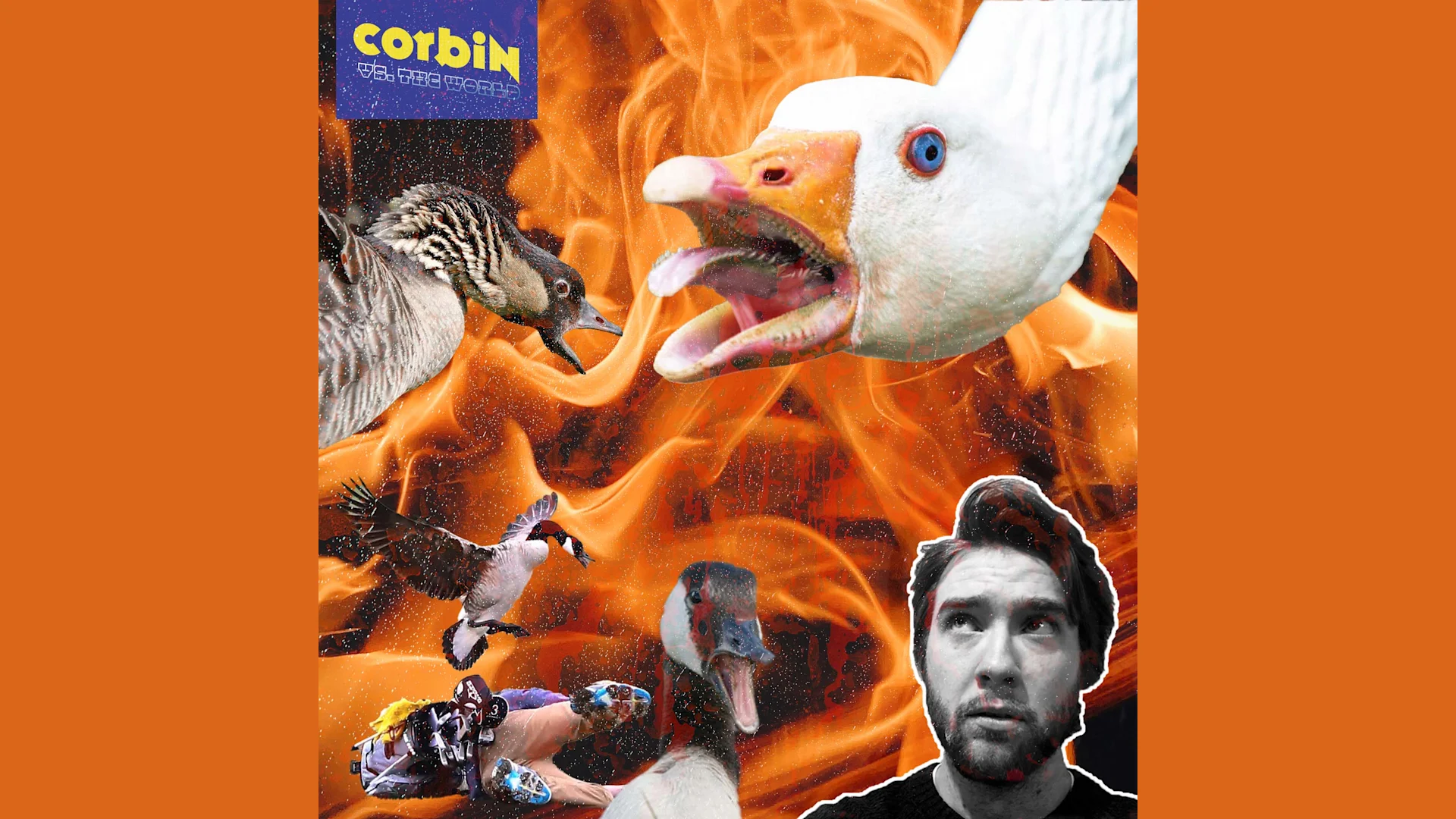 Corbin vs. Geese