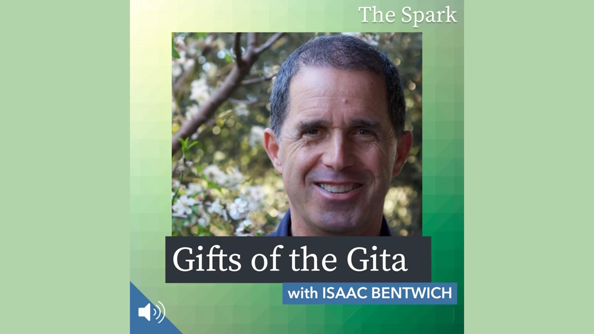 Gifts of the Gita with Isaac Bentwich