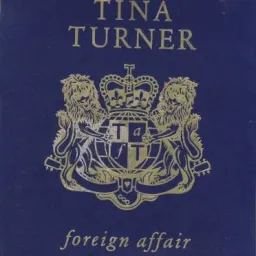 Cover art for Tina Turner - The Best