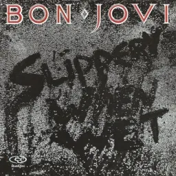 Cover art for Bon Jovi - Wanted Dead or Alive (5.1 mix)