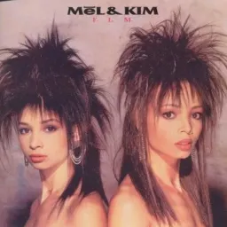 Cover art for Mel & Kim - Respectable