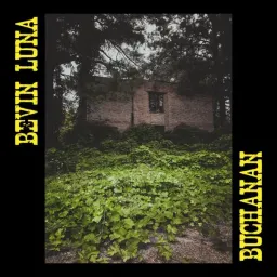 Cover art for Bevin Luna - You Belong to Me