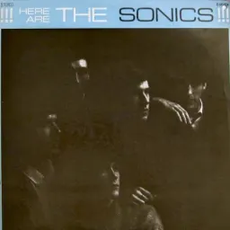 Cover art for The Sonics - Here Are the Sonics - Have Love Will Travel