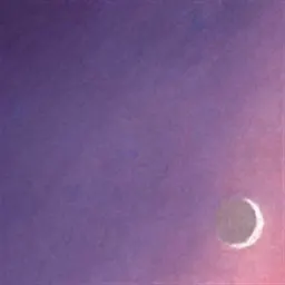 Cover art for Hotel WiFi - The Moon Is a Lesbian
