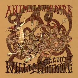 Cover art for William Elliott Whitmore - Hell or High Water