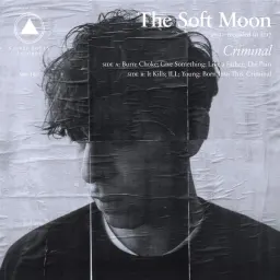 Cover art for The Soft Moon - Burn