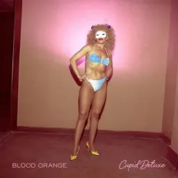 Cover art for Blood Orange - You're Not Good Enough