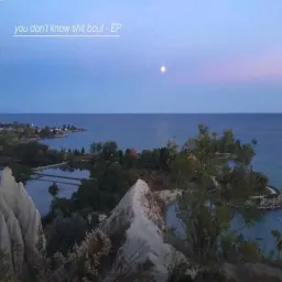 Cover art for Saint Wellesley - Coffin Shopping