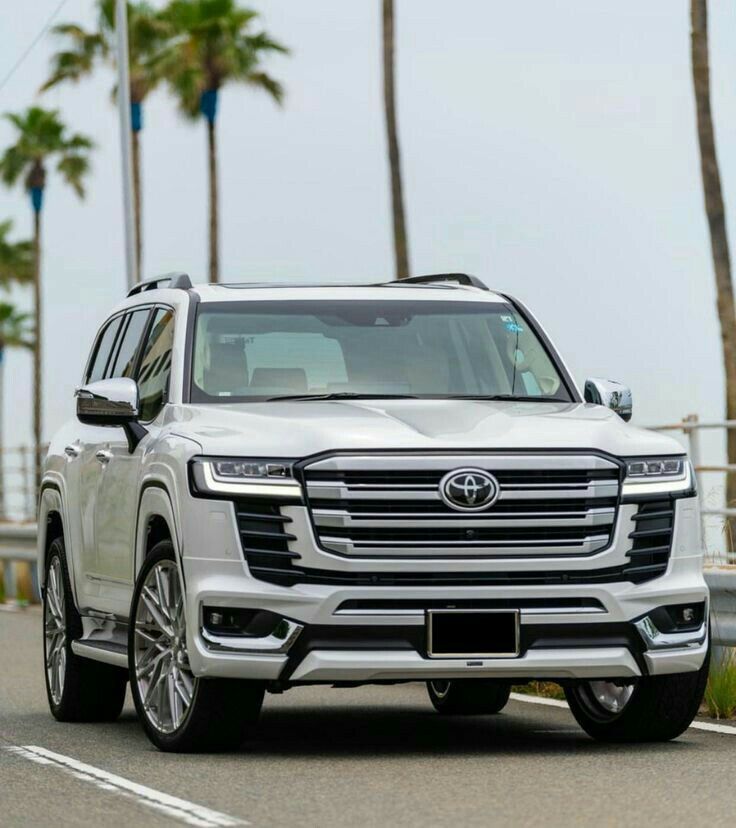 Paint Protection Film 3