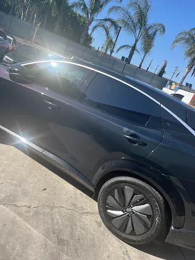 Back Windows Tinting
